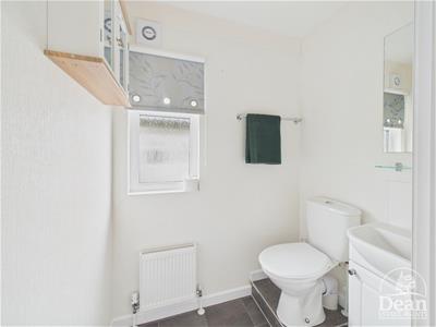 Picture 7